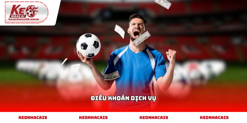 Điều khoản dịch vụ và quy định sử dụng website