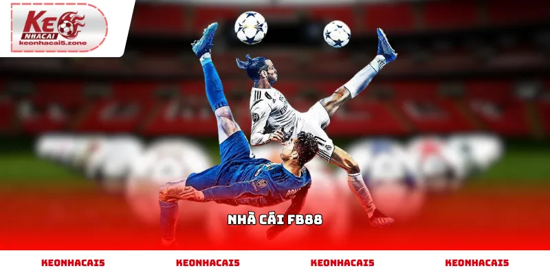 Nhà cái FB88 và những điều cần biết trước khi tham gia
