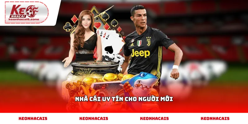 Nhà cái uy tín cho người mới và cách lựa chọn phù hợp