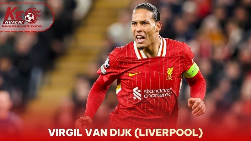 Virgil van Dijk (Liverpool)